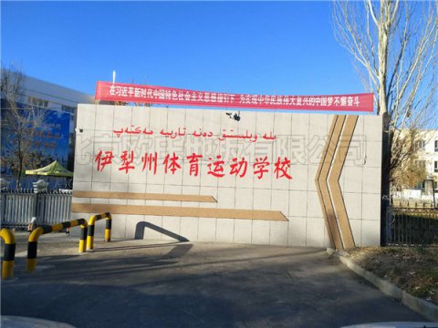 新疆伊犁體?；@球館運動地板案例