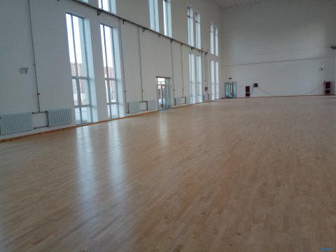 哈爾濱籃球場木地板生產(chǎn)廠家，歐氏地板有限公