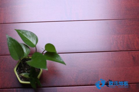 運動木地板質(zhì)量考察看什么