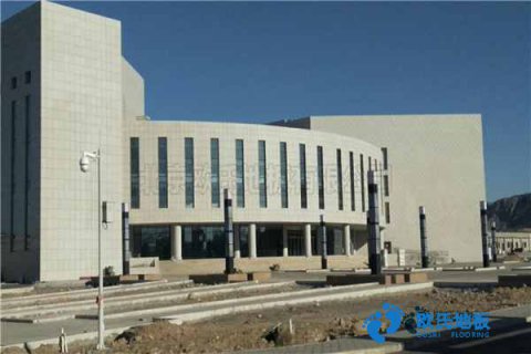 懷化專用實木運(yùn)動地板