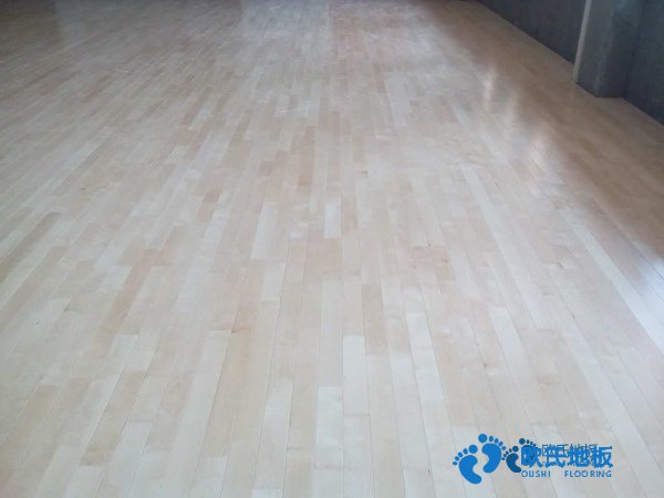 運(yùn)動(dòng)場地板哪家質(zhì)量好