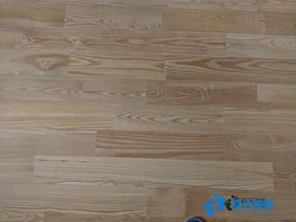 運動場館木地板企業