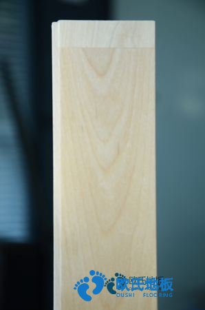 楓樺木籃球館木地板保養