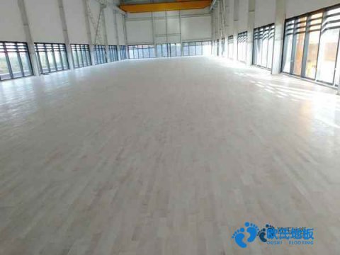 楓樺木籃球場地板維護保養