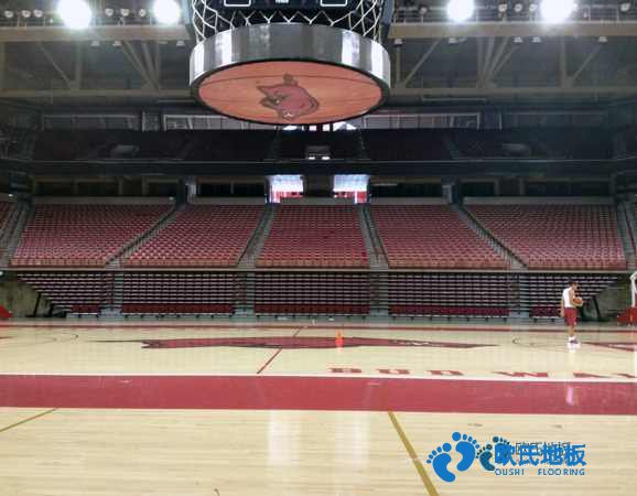 楓木體育場木地板保養知識