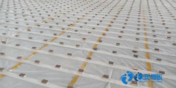 雙龍骨體育場木地板廠家報(bào)價(jià)