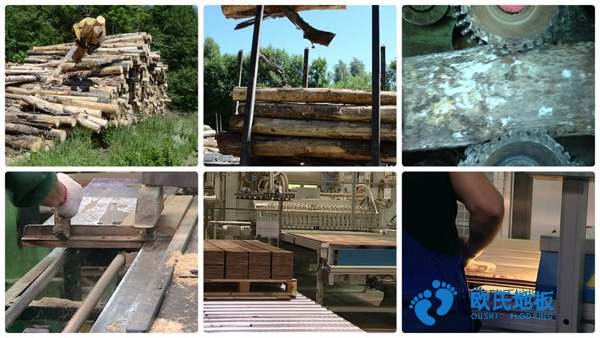 學(xué)?；@球場木地板防護(hù)