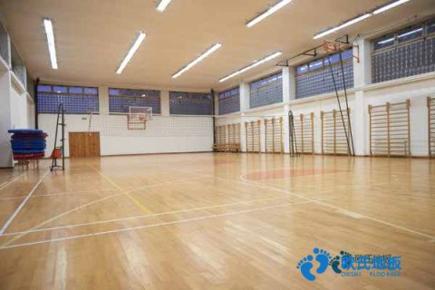 學校籃球館地板解決方案
