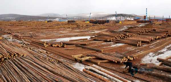 25厚運(yùn)動木地板耐磨