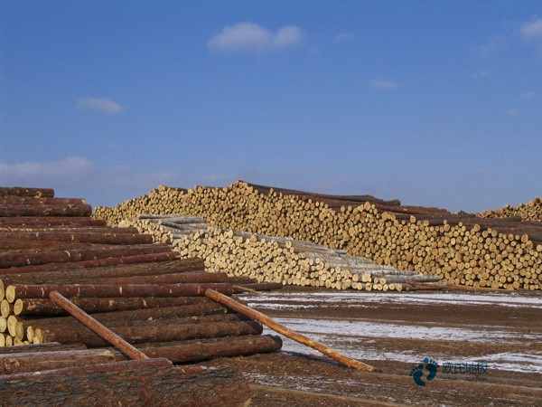 25厚運(yùn)動木地板耐磨