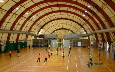 懸浮式籃球館木地板