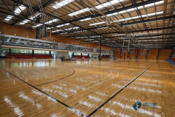 實木體育地板是什么時候裝3