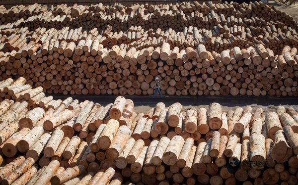 學?；@球地板反彈力